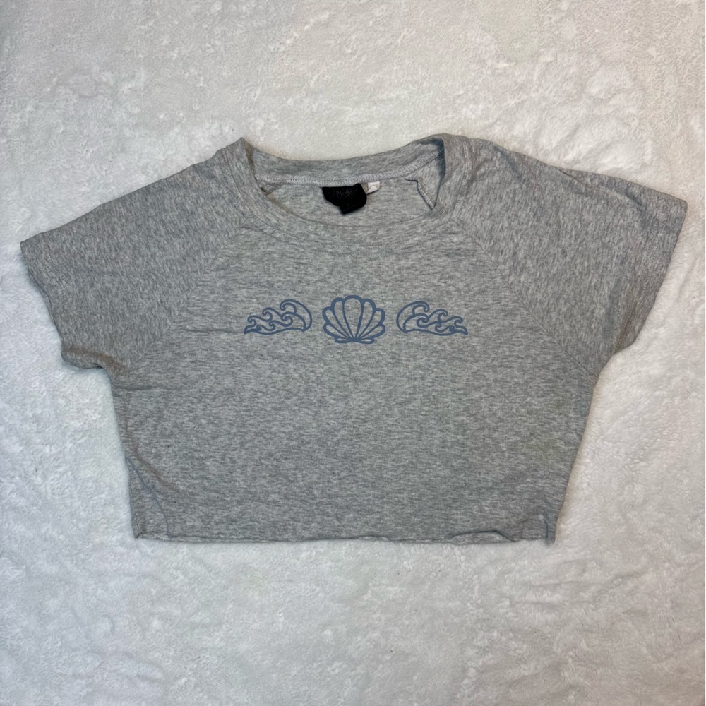 Pacsun Cropped Baby Tee